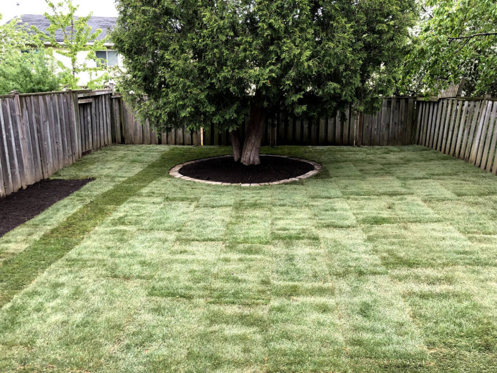 Sodding New Lawn Properly